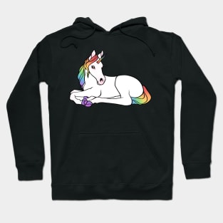 rainbow unicorn foal Hoodie